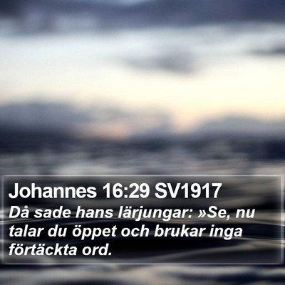 Johannes 16:29 SV1917 Bible Verse Image