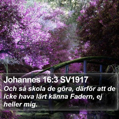 Johannes 16:3 SV1917 Bible Verse Image