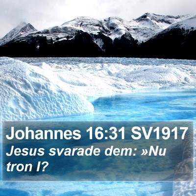 Johannes 16:31 SV1917 Bible Verse Image