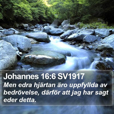 Johannes 16:6 SV1917 Bible Verse Image