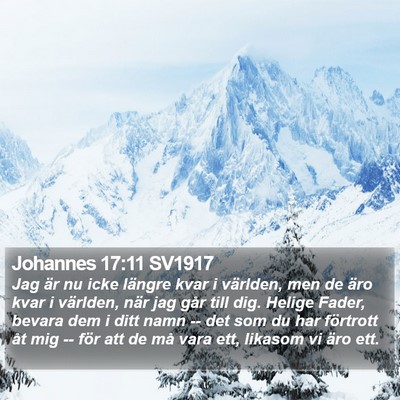 Johannes 17:11 SV1917 Bible Verse Image