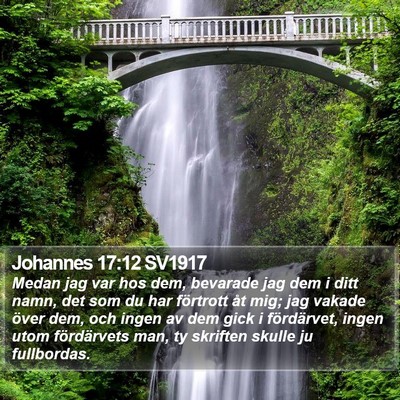 Johannes 17:12 SV1917 Bible Verse Image