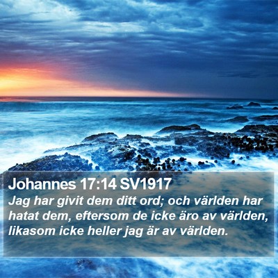 Johannes 17:14 SV1917 Bible Verse Image