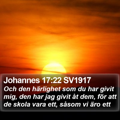 Johannes 17:22 SV1917 Bible Verse Image