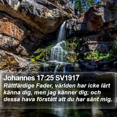 Johannes 17:25 SV1917 Bible Verse Image