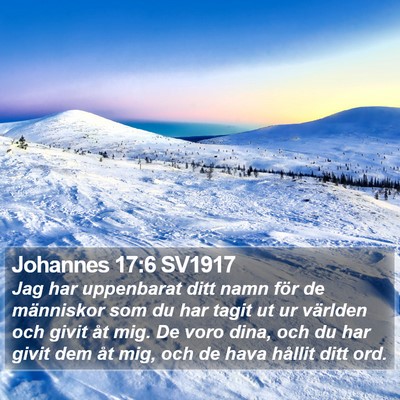Johannes 17:6 SV1917 Bible Verse Image