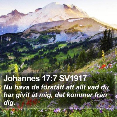 Johannes 17:7 SV1917 Bible Verse Image