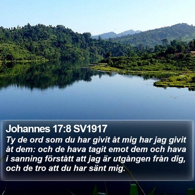Johannes 17:8 SV1917 Bible Verse Image