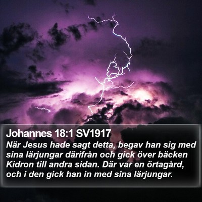 Johannes 18:1 SV1917 Bible Verse Image