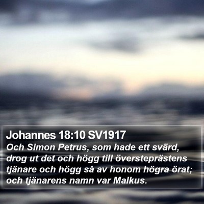 Johannes 18:10 SV1917 Bible Verse Image