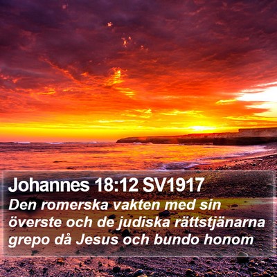 Johannes 18:12 SV1917 Bible Verse Image