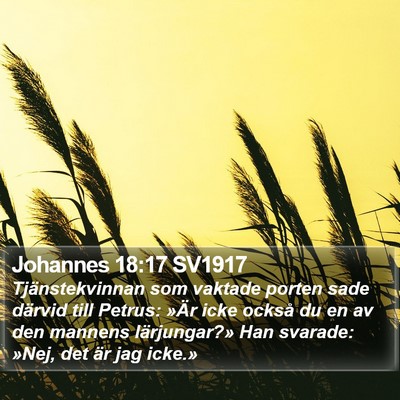 Johannes 18:17 SV1917 Bible Verse Image