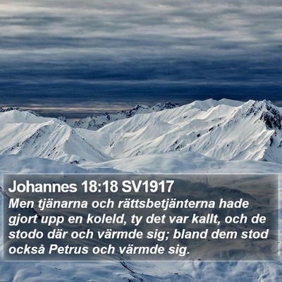 Johannes 18:18 SV1917 Bible Verse Image