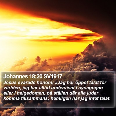 Johannes 18:20 SV1917 Bible Verse Image