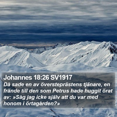 Johannes 18:26 SV1917 Bible Verse Image