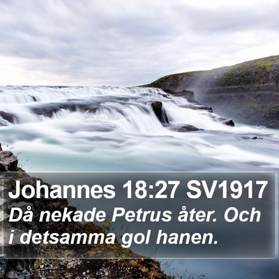 Johannes 18:27 SV1917 Bible Verse Image