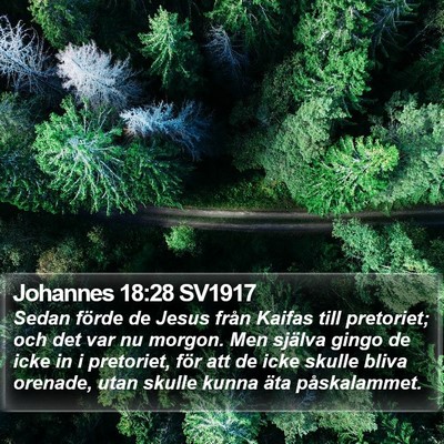 Johannes 18:28 SV1917 Bible Verse Image