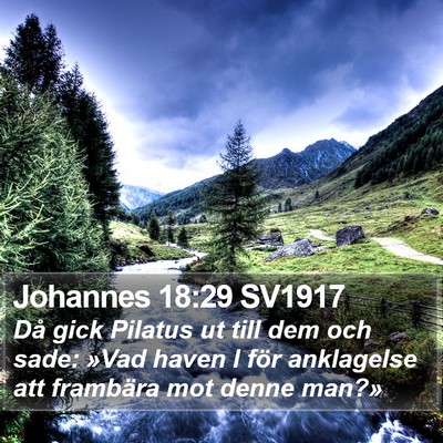 Johannes 18:29 SV1917 Bible Verse Image