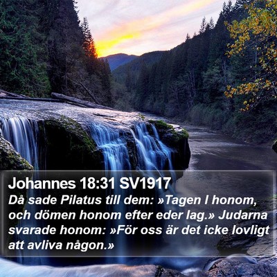 Johannes 18:31 SV1917 Bible Verse Image