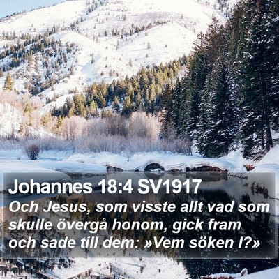 Johannes 18:4 SV1917 Bible Verse Image