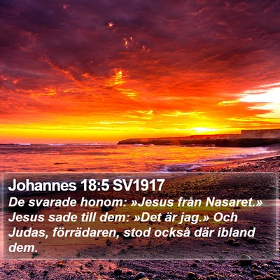 Johannes 18:5 SV1917 Bible Verse Image