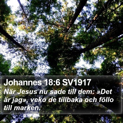 Johannes 18:6 SV1917 Bible Verse Image