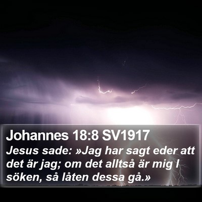 Johannes 18:8 SV1917 Bible Verse Image