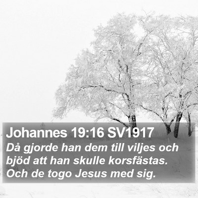 Johannes 19:16 SV1917 Bible Verse Image