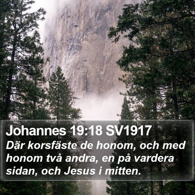Johannes 19:18 SV1917 Bible Verse Image