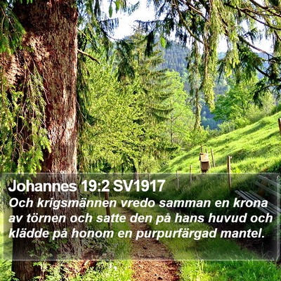 Johannes 19:2 SV1917 Bible Verse Image