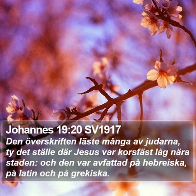 Johannes 19:20 SV1917 Bible Verse Image