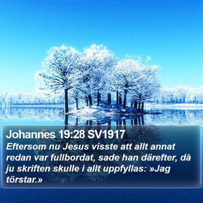Johannes 19:28 SV1917 Bible Verse Image