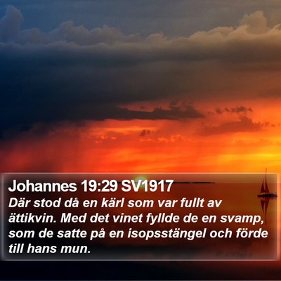 Johannes 19:29 SV1917 Bible Verse Image