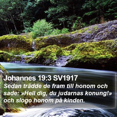 Johannes 19:3 SV1917 Bible Verse Image