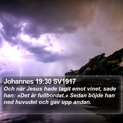 Johannes 19:30 SV1917 Bible Verse Image