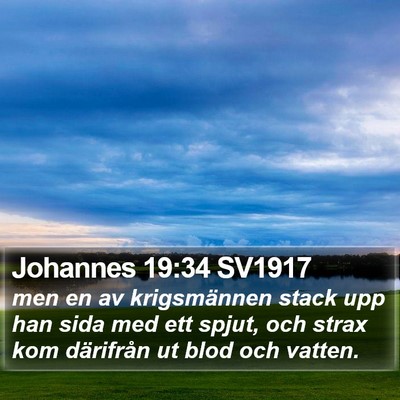 Johannes 19:34 SV1917 Bible Verse Image