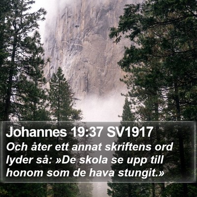Johannes 19:37 SV1917 Bible Verse Image