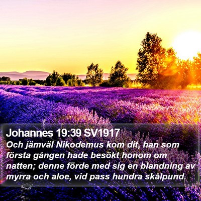 Johannes 19:39 SV1917 Bible Verse Image