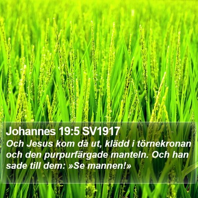 Johannes 19:5 SV1917 Bible Verse Image