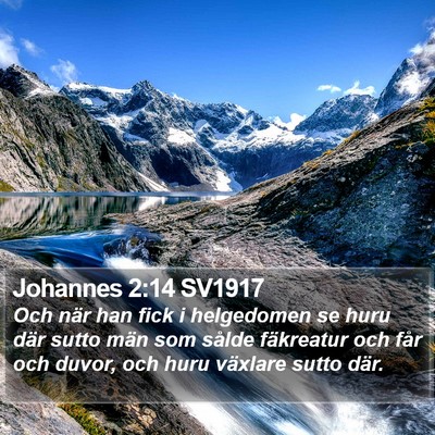 Johannes 2:14 SV1917 Bible Verse Image
