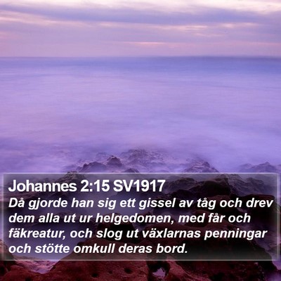 Johannes 2:15 SV1917 Bible Verse Image