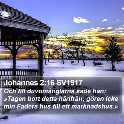 Johannes 2:16 SV1917 Bible Verse Image