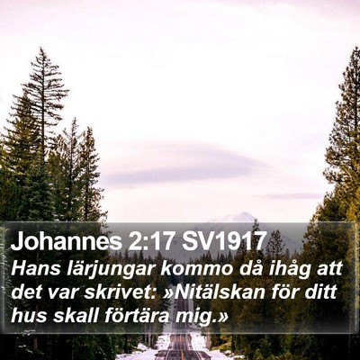 Johannes 2:17 SV1917 Bible Verse Image