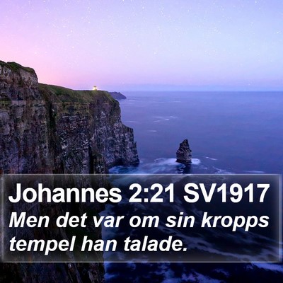 Johannes 2:21 SV1917 Bible Verse Image