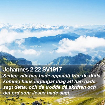 Johannes 2:22 SV1917 Bible Verse Image