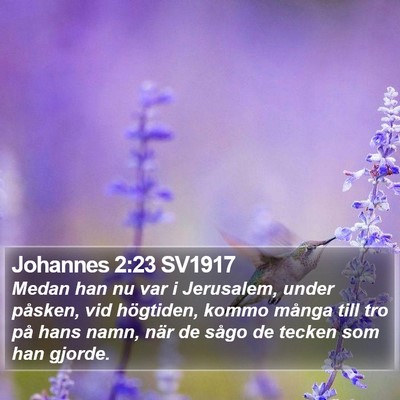 Johannes 2:23 SV1917 Bible Verse Image