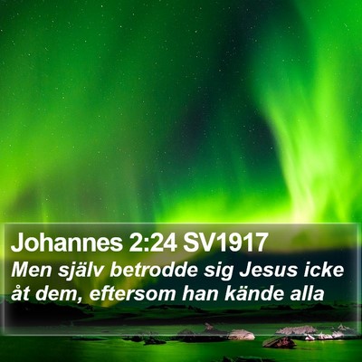 Johannes 2:24 SV1917 Bible Verse Image