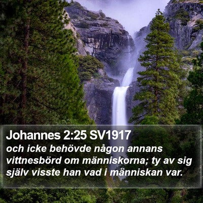 Johannes 2:25 SV1917 Bible Verse Image