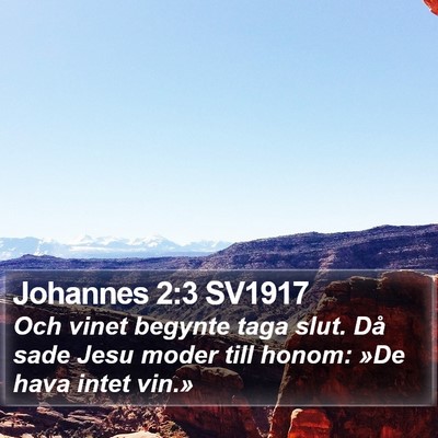 Johannes 2:3 SV1917 Bible Verse Image