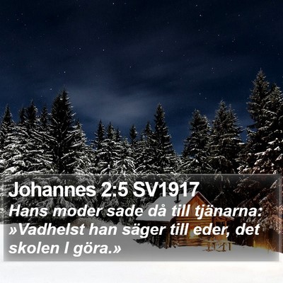 Johannes 2:5 SV1917 Bible Verse Image